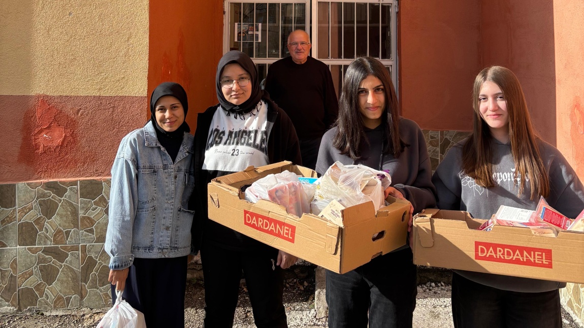 Çedes Projesi Sokak Hayvanlarına Bakım 